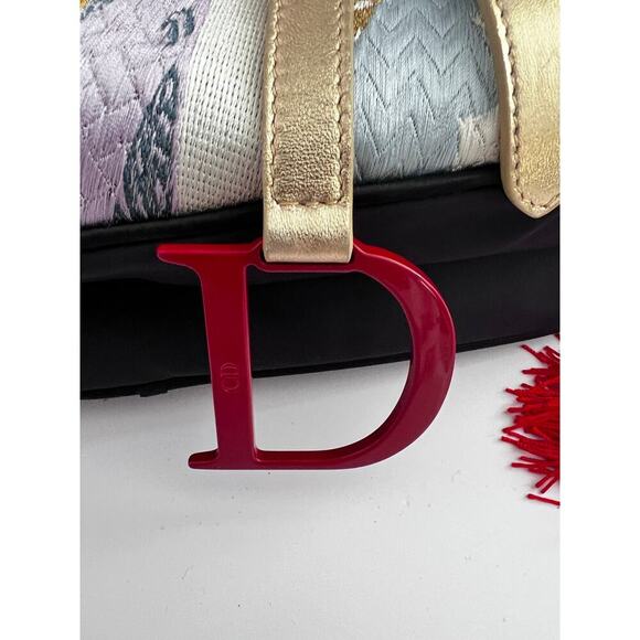 Dior world saddle bag- Japan - Picture 3 of 10